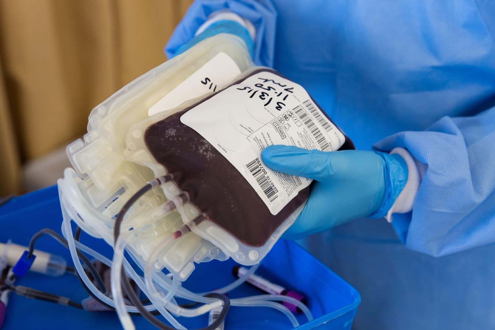 Bolsa de sangre donada, etiquetada y sostenida por una persona con guantes y camisolín estéril
